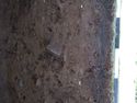 Thumbnail of Test-pit 2113, N section detail