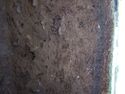 Thumbnail of Test-pit 2113, N section detail