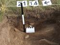 Thumbnail of Test-pit 2114, Find 02 insitu