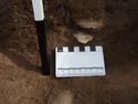 Thumbnail of Test-pit 2114, Find 02 insitu