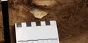 Thumbnail of Test-pit 2114, Find 02 insitu