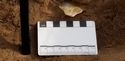 Thumbnail of Test-pit 2114, Find 02 insitu