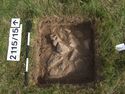 Thumbnail of Test-pit 2115, plan view at 15cm depth