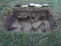 Thumbnail of Test-pit 2115, N section