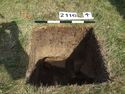 Thumbnail of Test-pit 2116, N section