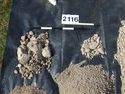 Thumbnail of Test-pit 2116, clasts