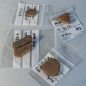 Thumbnail of Test-pit 2117, Finds 01, 02, 03 left side + bottom right