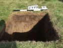Thumbnail of Test-pit 2119, N section