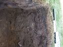Thumbnail of Test-pit 2119, N section detail