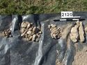 Thumbnail of Test-pit 2120, clasts
