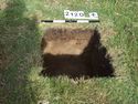 Thumbnail of Test-pit 2120, N section