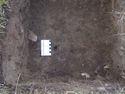 Thumbnail of Test-pit 2121, at depth 30cm Find 02 insitu plan view