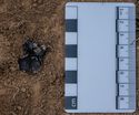 Thumbnail of Test-pit 2121, Find 02 in situ, detail
