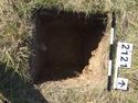 Thumbnail of Test-pit 2121, plan view