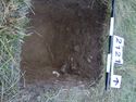 Thumbnail of Test-pit 2121, N section