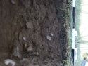 Thumbnail of Test-pit 2121, N section detail