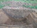 Thumbnail of Ditch [1370]