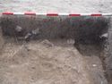 Thumbnail of Ditches [1078] and [1080]