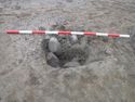 Thumbnail of Posthole [1252]