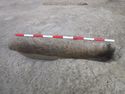 Thumbnail of Pit [1348]