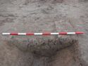 Thumbnail of Gullies [1172] and [1174]