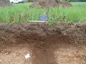 Thumbnail of Ditch