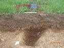 Thumbnail of Ditch