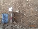 Thumbnail of Pit