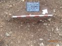 Thumbnail of Pit