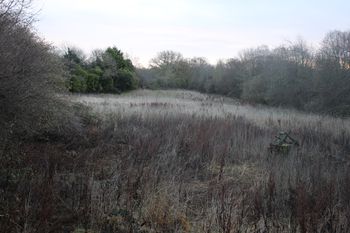 An overview photograph of the trial trench evaluation area, facing east