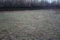 Thumbnail of An overview photograph of the trial trench evaluation area, facing south