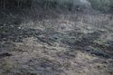 Thumbnail of An overview photograph of the trial trench evaluation area, facing south-east