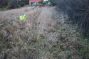 Thumbnail of An overview photograph of the trial trench evaluation area, facing north