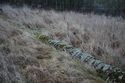 Thumbnail of An overview photograph of the trial trench evaluation area, facing south-west
