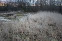 Thumbnail of An overview photograph of the trial trench evaluation area, facing south