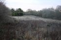 Thumbnail of An overview photograph of the trial trench evaluation area, facing east