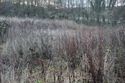 Thumbnail of An overview photograph of the trial trench evaluation area, facing south-east