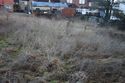 Thumbnail of An overview photograph of the trial trench evaluation area, facing north-east