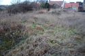 Thumbnail of An overview photograph of the trial trench evaluation area, facing north-west