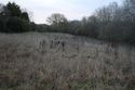 Thumbnail of An overview photograph of the trial trench evaluation area, facing east
