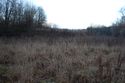 Thumbnail of An overview photograph of the trial trench evaluation area, facing west