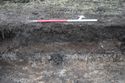 Thumbnail of A photograph of the north-west facing representative section of trench 2, facing south-east, scale 1x1m (1 of 2)
