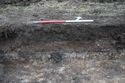 Thumbnail of A photograph of the north-west facing representative section of trench 2, facing south-east, scale 1x1m, (2 of 2)