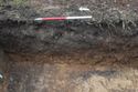 Thumbnail of A photograph of the west facing representative section of trench 4, facing east, scale 1x1m (1 of 2)