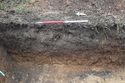 Thumbnail of A photograph of the west facing representative section of trench 4, facing east, scale 1x1m (2 of 2)