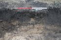 Thumbnail of A photograph of the west facing representative section of trench 5, facing east, scale 1x1m (1 of 2 )