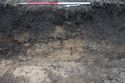Thumbnail of A photograph of the west facing representative section of trench 5, facing east, scale 1x1m (2 of 2 )
