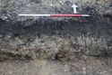 Thumbnail of A photograph of the south facing representative section of trench 11, facing north, scale 1x1m (1 of 2)