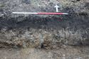 Thumbnail of A photograph of the south facing representative section of trench 11, facing north, scale 1x1m (2 of 2)