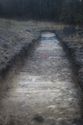 Thumbnail of An overview photograph of trench 10, facing east, scale 2x1m